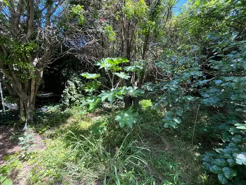 DOS PROPIEDADES EN VENTA CASA PH Y LOCAL FRENTE A LA ESTACION DE ITUZAINGO LADO NORTE