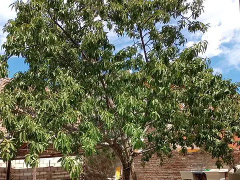 Departamento en Venta de 9 ambientes