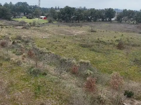 CAMPO/ LOTE DE 18.500M2 502 e/ 202 y 208-ABASTO