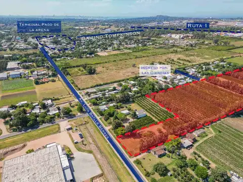 Av Luis Batlle Berres 7000