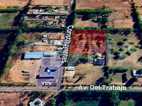 ALQUILER HECTAREA PLOTTIER