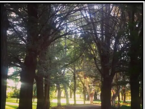 ESTANCIA EN VENTA EN MALARGUE, POTENCIAL PRODUCTIVO/MINERO