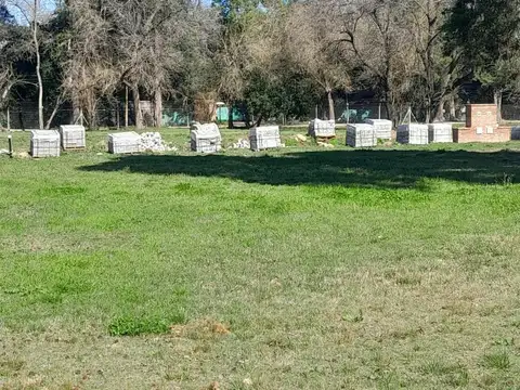 Pres. Derqui  esq. La Golondrina