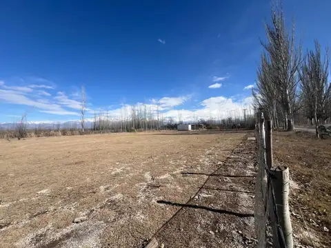 Terreno