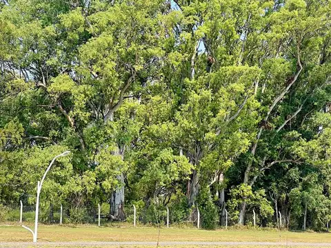 Terreno en Venta Pueblo Esther Barrio Cerrado Brisanova 300m2 Gas Natural habilitado