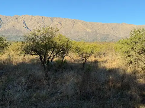 Ruta Provincial 14