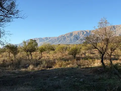 Terreno en Venta de 2600,0 m2