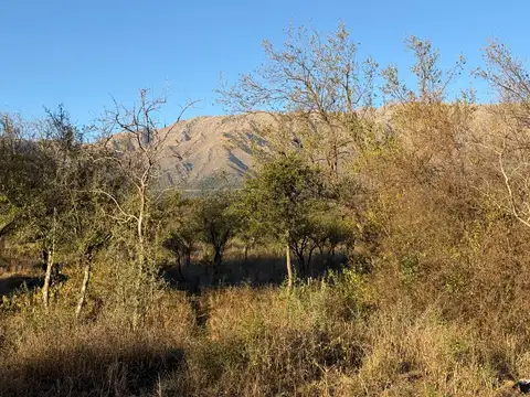 Oportunidad sobre Ruta 14 – Quebracho Ladeado, Traslasierras