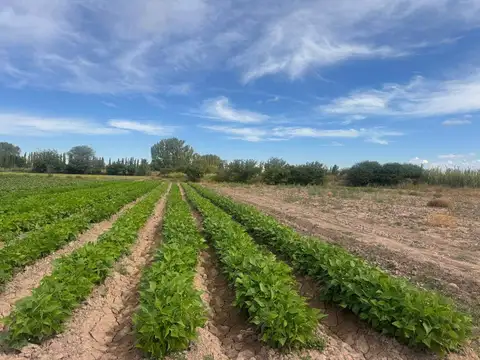 La costa Barrancas Maipu