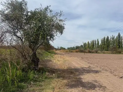 Terreno / Lote en venta de 96000m2 ubicado en Barrancas