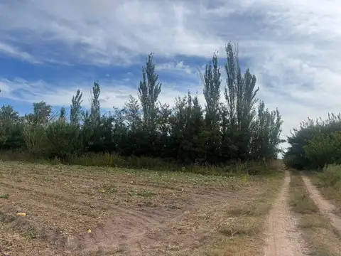 Terreno en Venta de 96000,0 m2