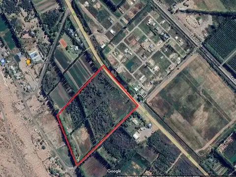 Chacra en venta - 3 Galpones - 40.000Mts2 - Neuquén