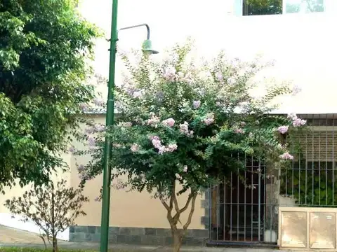 Impecable PH en Esquina con excelente ubicación - Beccar - San Isidro