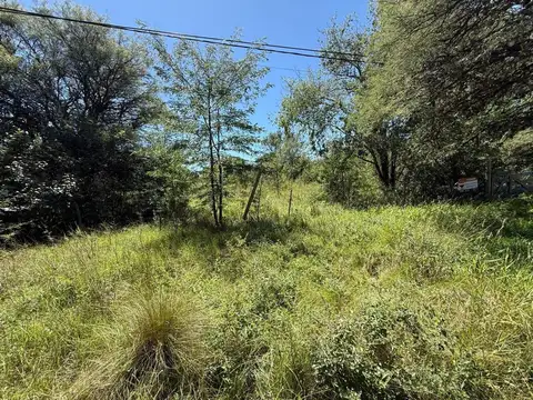 LOTE 8