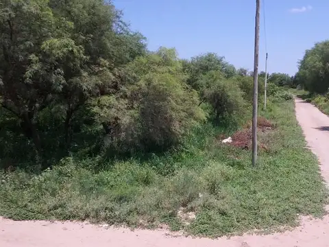 Complejo Lirios de la Banda