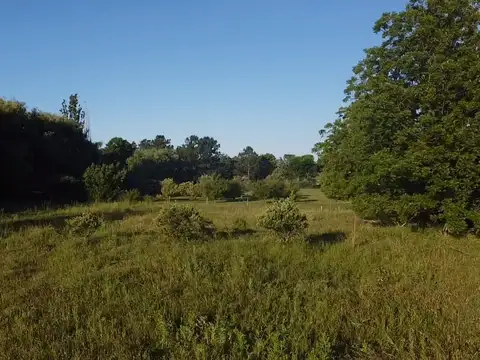 Lote de 1ha en Venta en B° Los Robles