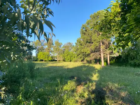 Lote de 1ha en Venta en B° Los Robles
