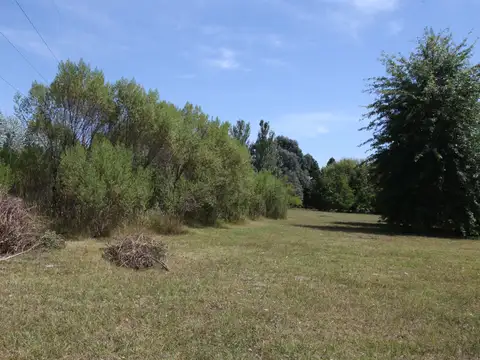 Lote de 1ha en Venta en B° Los Robles