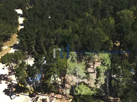 Terreno en Venta de 930,0 m2