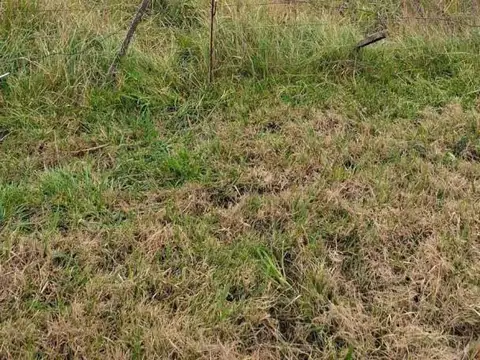 Terreno en Venta de 600,0 m2