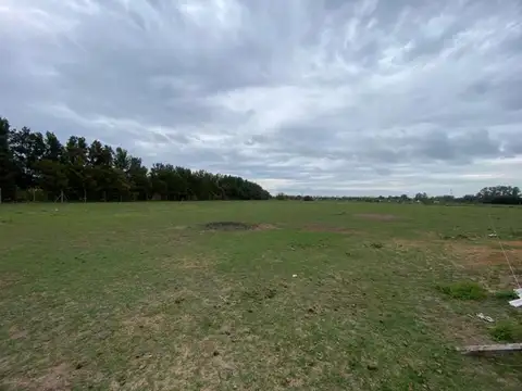 CAMPO EN VENTA ESCALADA