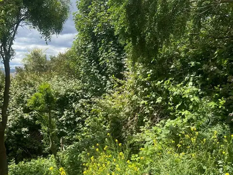 TERRENO EN VENTA EL BOLSON