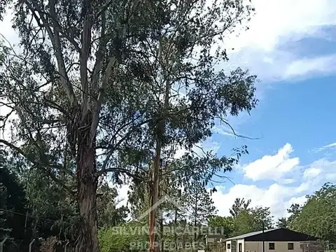 LOTE DE 1700 M2 EN BARRIO CERRADO AMARYLIS 100
