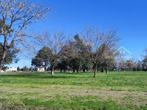 Terreno Lote  en Venta en Los Cardales, Exaltación de la Cruz, G.B.A. Zona Norte