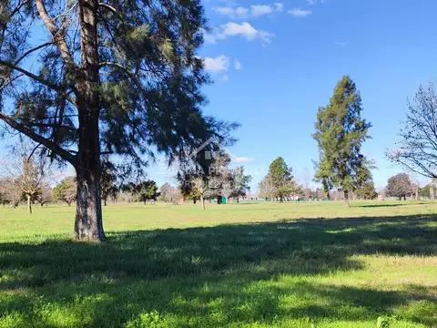 Terreno en Venta de 1000,0 m2