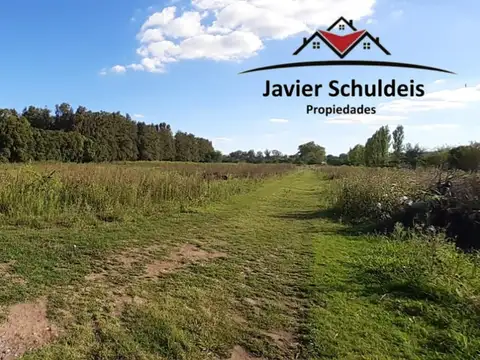 Campo en Venta Agrícola
