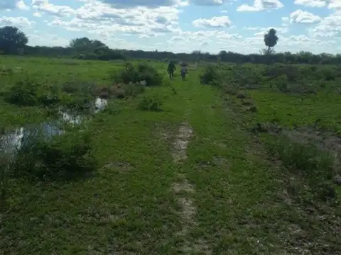 Campo en Venta de 50  ha
