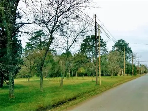 Parque Las Naciones, Ruta 210