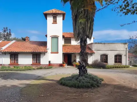El Tipal 600