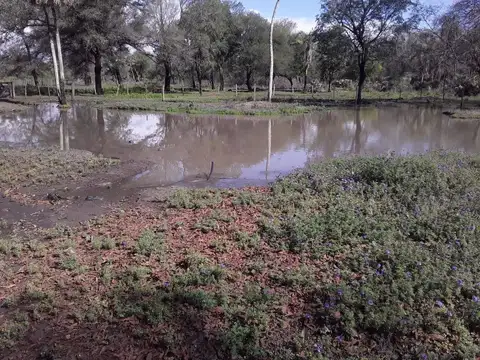 Campo  con mejoras, electricidad y título - Mariano Boedo- Formosa