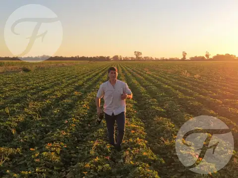 Vendo Campo en San Pedro - Ruta 1001 - 55 hectáreas - Oportunidad de Inversión y Subdivisión