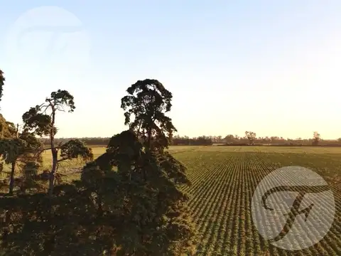 Vendo Campo en San Pedro - Ruta 1001 - 55 hectáreas - Oportunidad de Inversión y Subdivisión