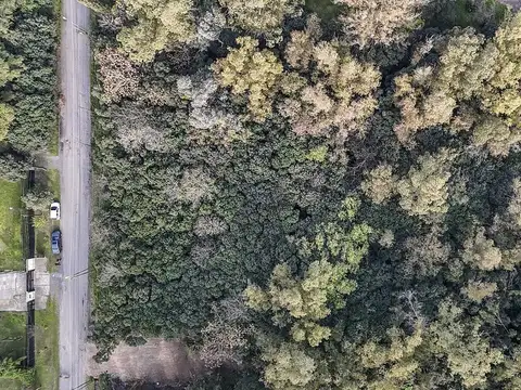 Terreno en Venta en Monteverde, USD 60.000