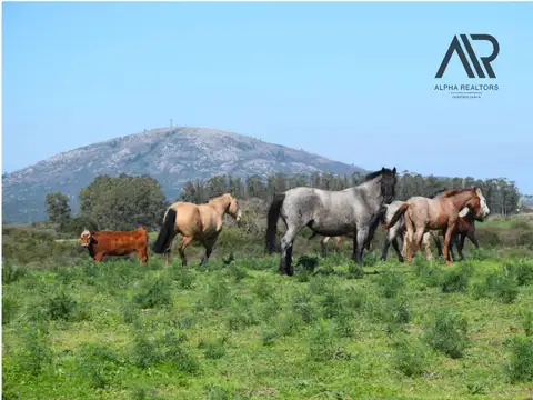 CHACRAS en POZOS AZULES