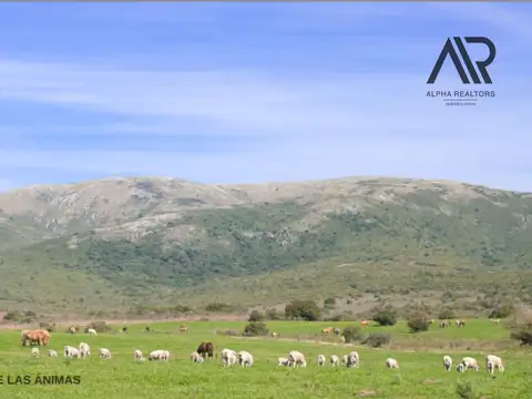 CHACRAS en POZOS AZULES 100