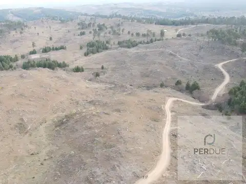yacanto 1