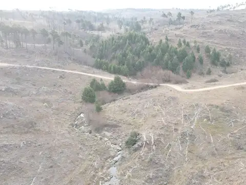 Terreno en venta Villa Yacanto Calamuchita