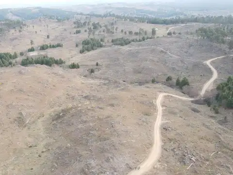 yacanto 1