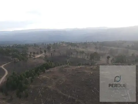 yacanto 1
