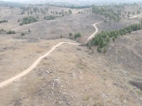 Terreno en Venta de 5000,0 m2