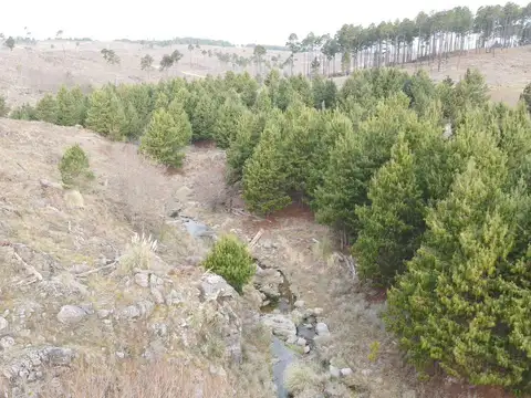 Terreno en Venta en Yacanto, USD 18.000