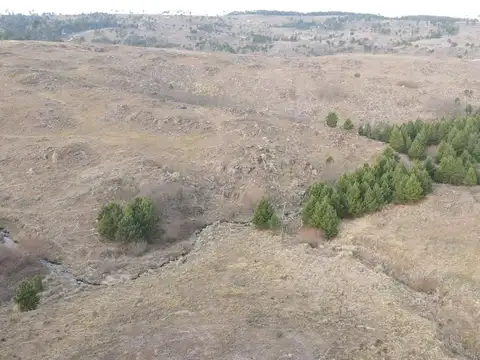 yacanto 1