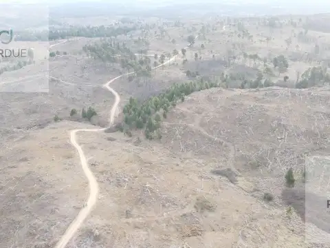 Terreno en Venta de 5000,0 m2