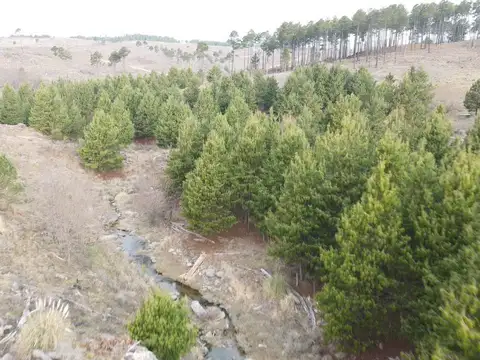 Terreno en Venta de 5000,0 m2