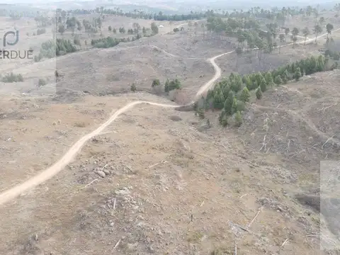 Terreno en Venta de 5000,0 m2