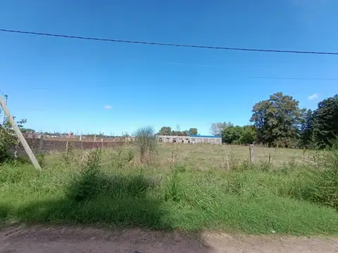 Luis Burela 5600